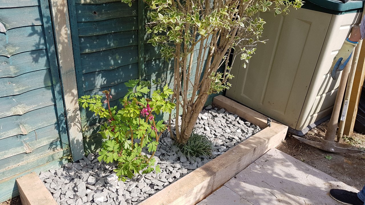 IMG-20190414-WA0000
