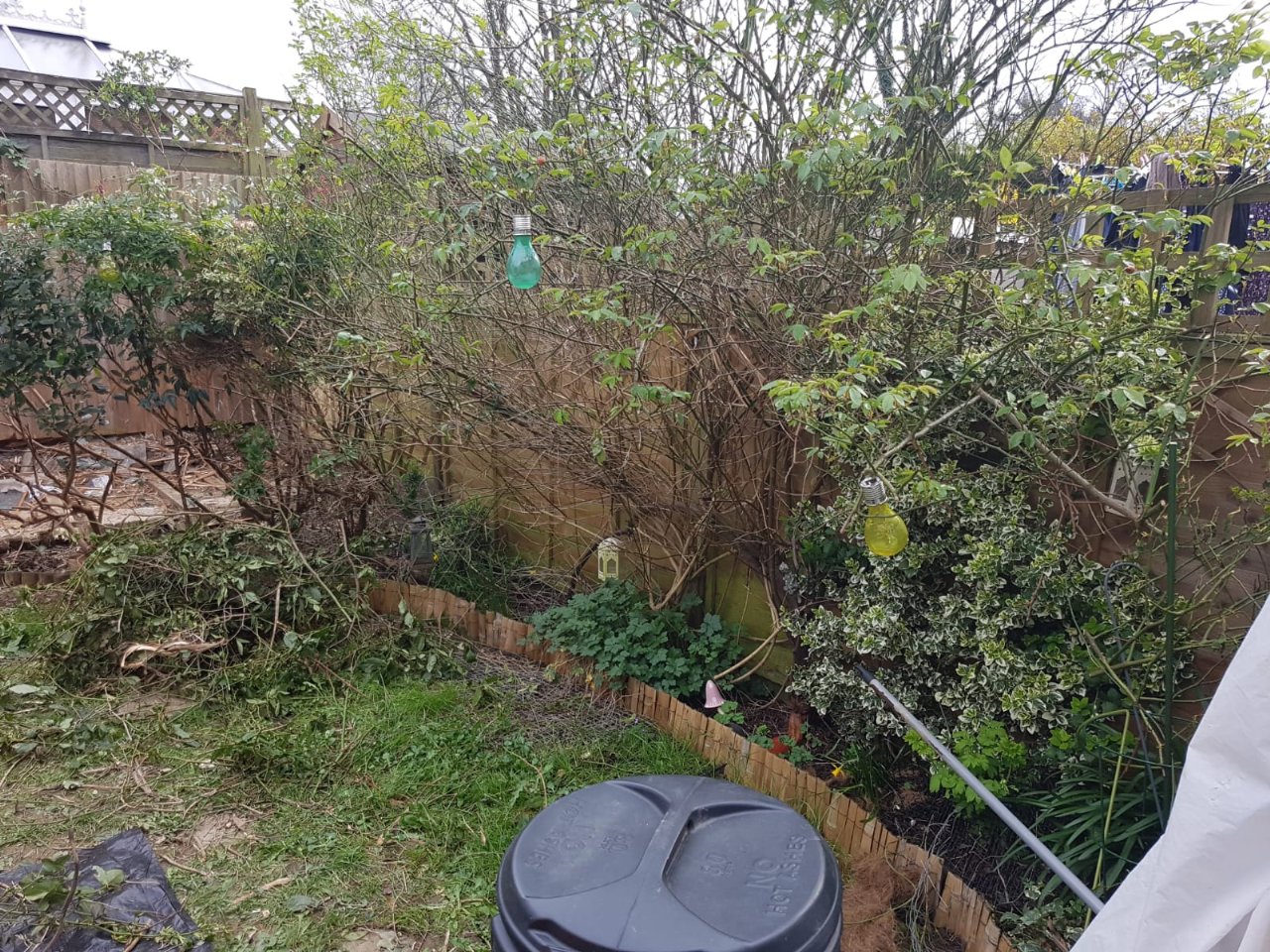 IMG-20190414-WA0005
